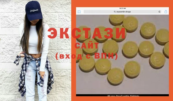 гашик Козельск