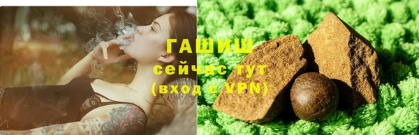 молекула духа Новозыбков
