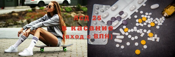 прущие грибы Кодинск