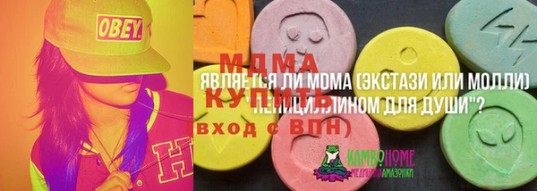 гашик Козельск