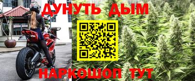 mdma Сланцы