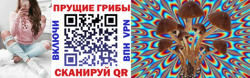 Псилоцибиновые грибы мицелий  Тында 