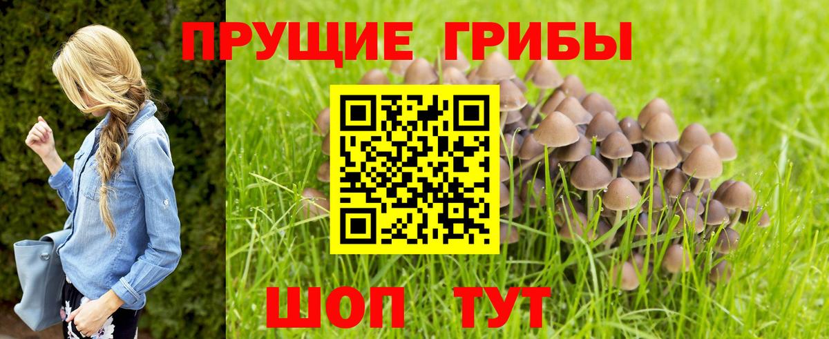A-PVP Тында
