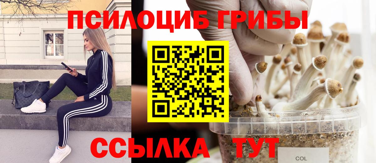 Галлюциногенные грибы мухоморы Тында