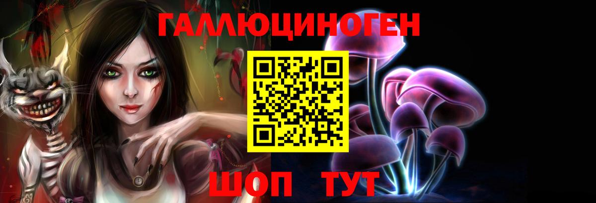 Галлюциногенные грибы GOLDEN TEACHER Тында