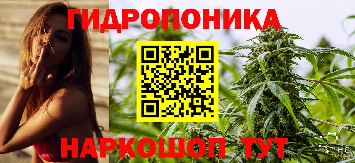 Тында  Каннабис SATIVA & INDICA  Каннабис White Widow  Вход с VPN  Конопля OG Kush  Бошки Шишки тримм 